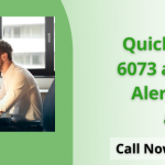 QuickBooks Error 6073 99001
