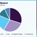 biogas-market(pie)