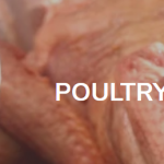 hand slaughtered halal chicken